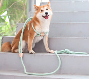 Enhance Your Pet's Adventure with Our Multi Functional Pet Chest Harness