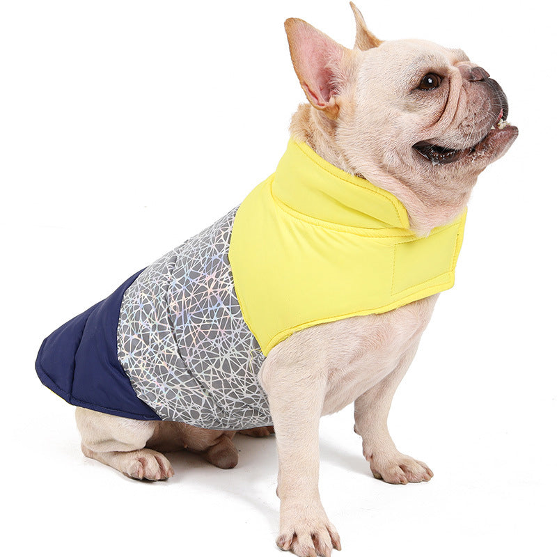 Keep Your Pet Cozy This Winter