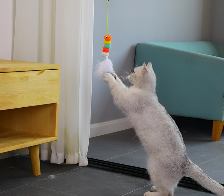 FUN AND SAFE TOYS FOR ACTIVE PETS
