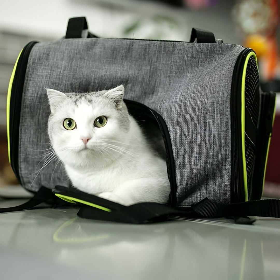 SAFE AND DURABLE PET CARRIERS FOR TRAVEL