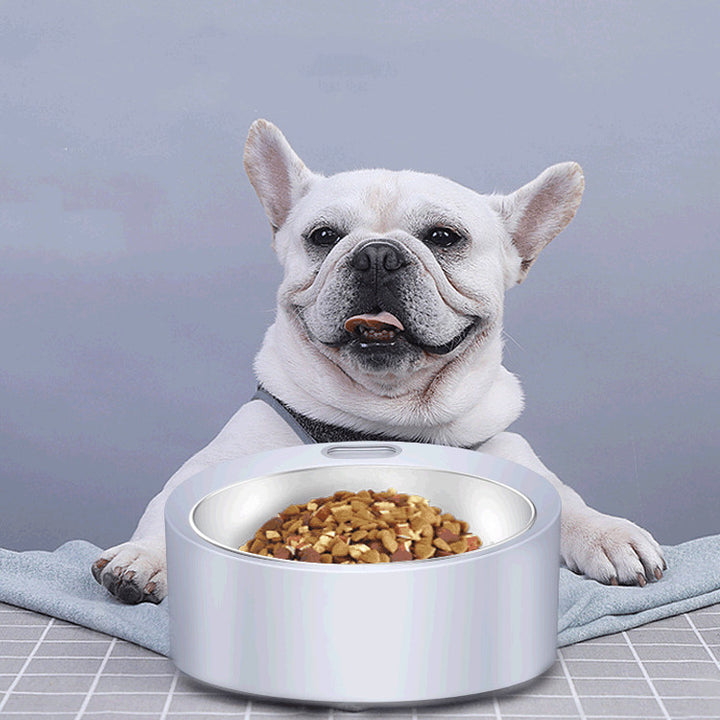 Large Capacity Stainless Steel Pet Feeding Bowl With Detachable Scale