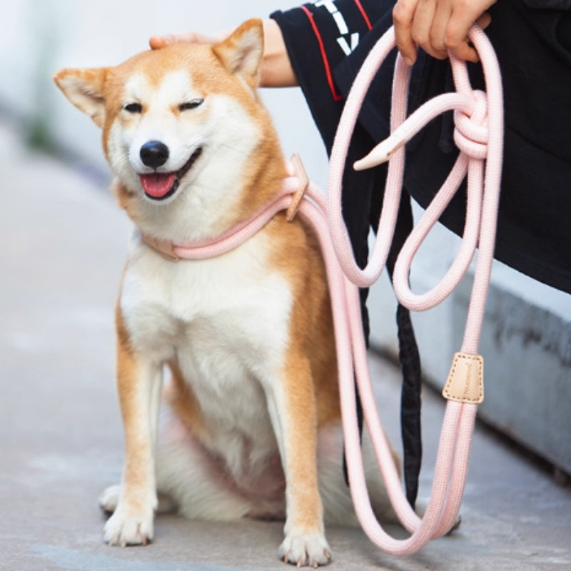 Multi Functional Pet Chest Harness With Anti Burst Leash