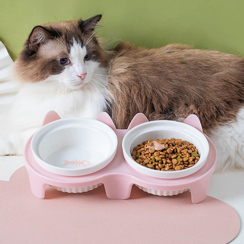 Ceramic Double Bowl Elevated Pet Feeding Set With Tilt Design