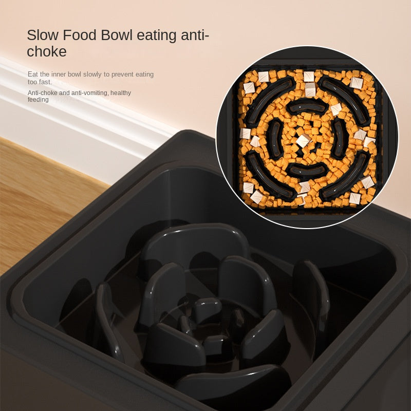 Adjustable Height Double Bowl Stainless Stand Elevated Pet Feeding Set