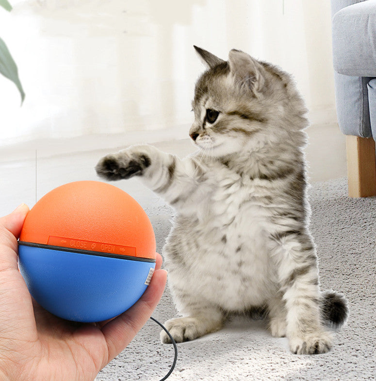 Automatic Tease Toy Ball Intelligent Grinding Teeth