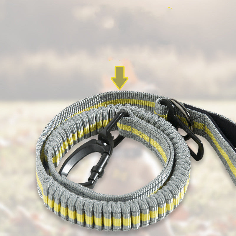 Fluorescent Elastic Retractable Anti Burst Pet Leash