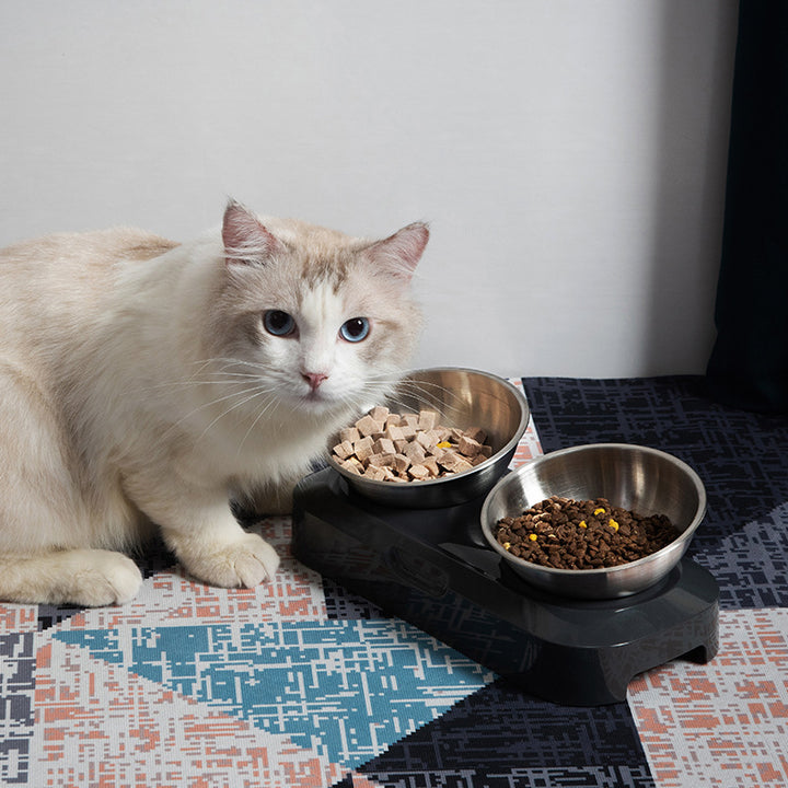 Double Stainless Steel Pet Feeding Bowl Set For Night Use