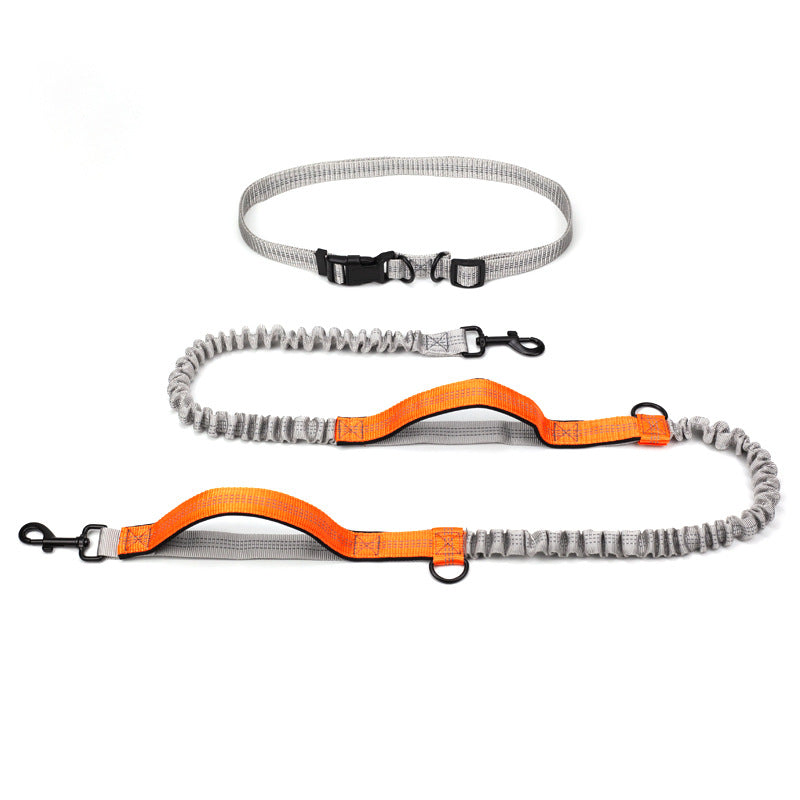 Outdoor Running Pet Leash For Active Walking