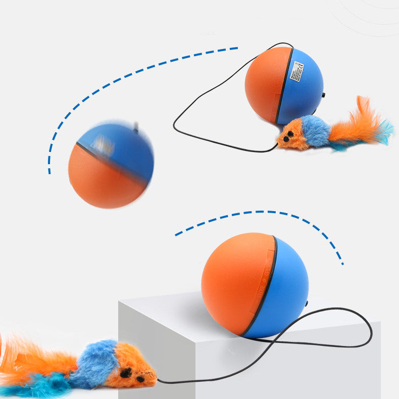 Automatic Tease Toy Ball Intelligent Grinding Teeth