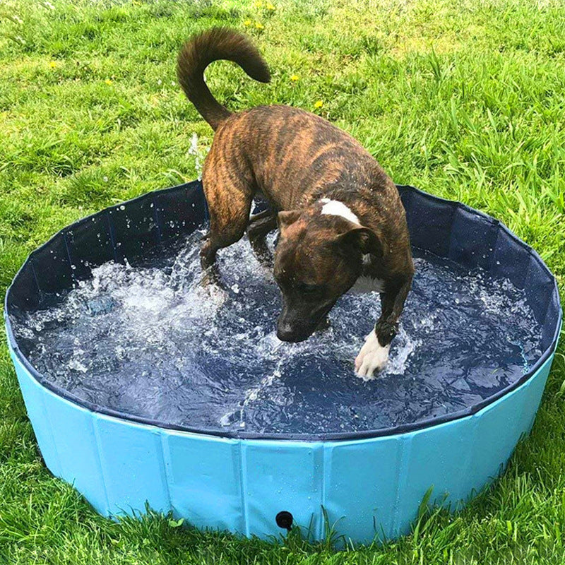Foldable Pet Bath Swimming Tub For Indoor Outdoor Use