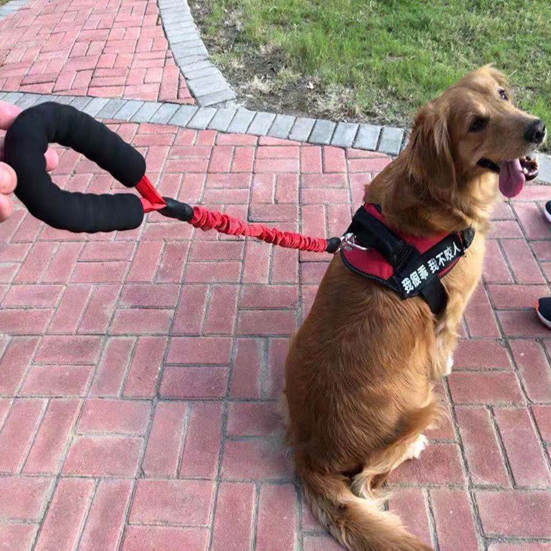 Elastic Retractable Anti Burst Pet Leash
