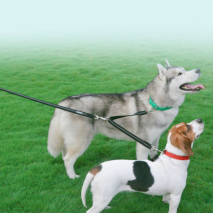 Double Head Reflective Nylon Pet Leash