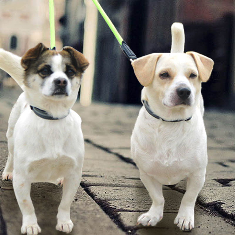Double Head Reflective Nylon Pet Leash