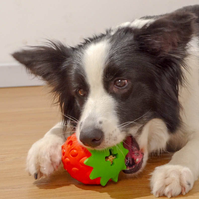 Pet Teeth Cleaning Tooth Bite Resistant Toy Ball Toy Pet Supplies