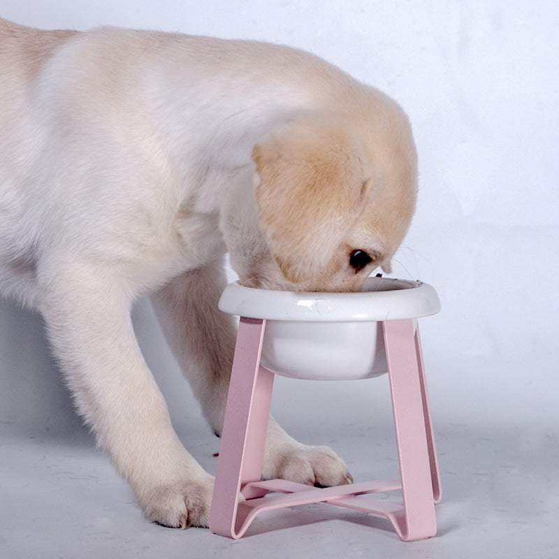 Ceramic Pet Food Bowl With Cervical Spine Protection Design