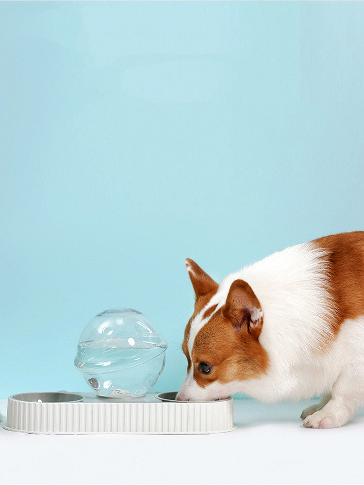 Automatic Plastic Pet Feeder And Water Bowl