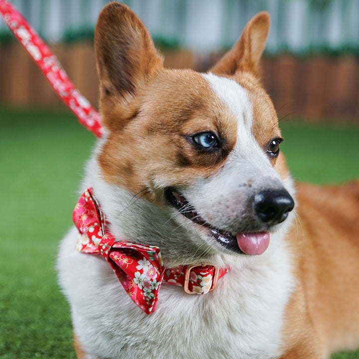 Red Floral Style Female Pet Harness And Leash Set