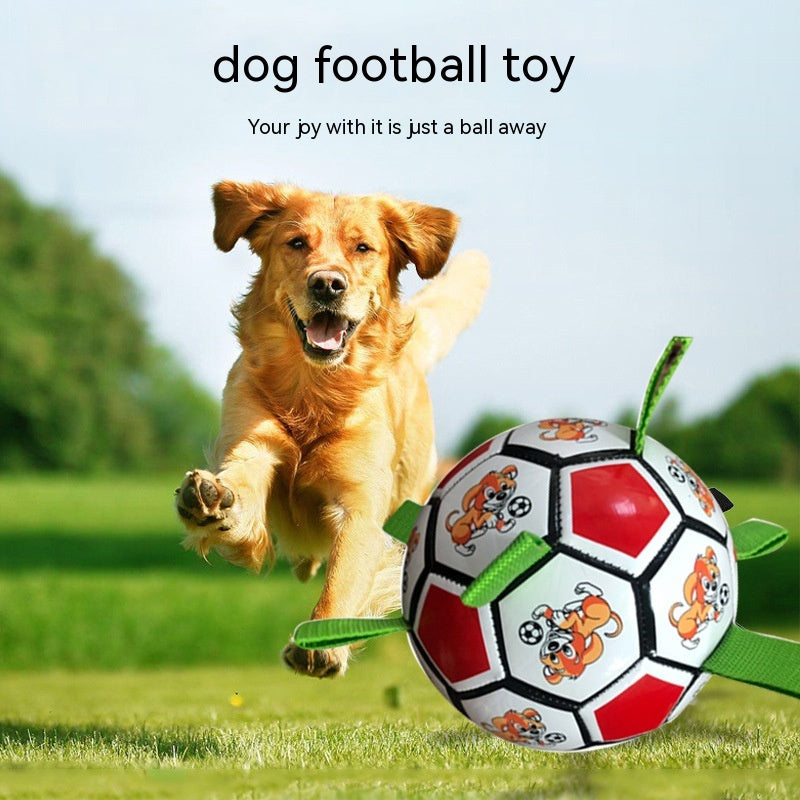 Football Bite-resistant Molar Bite-resistant Toy