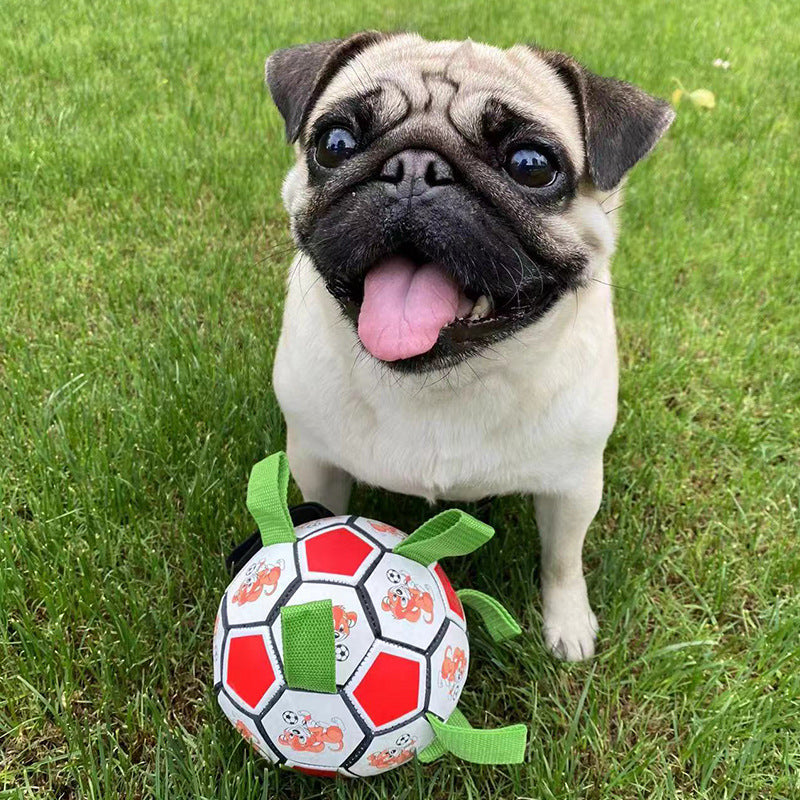 Football Bite-resistant Molar Bite-resistant Toy