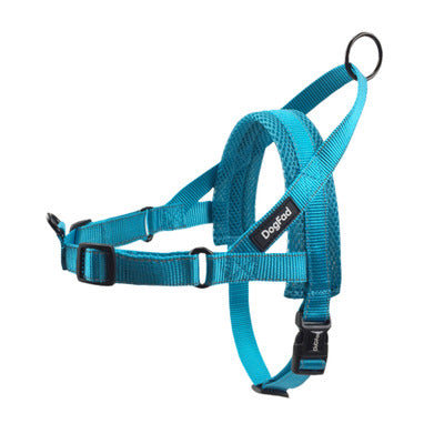 Adjustable Durable Pet Harness And Leash Set For Outdoor Walking