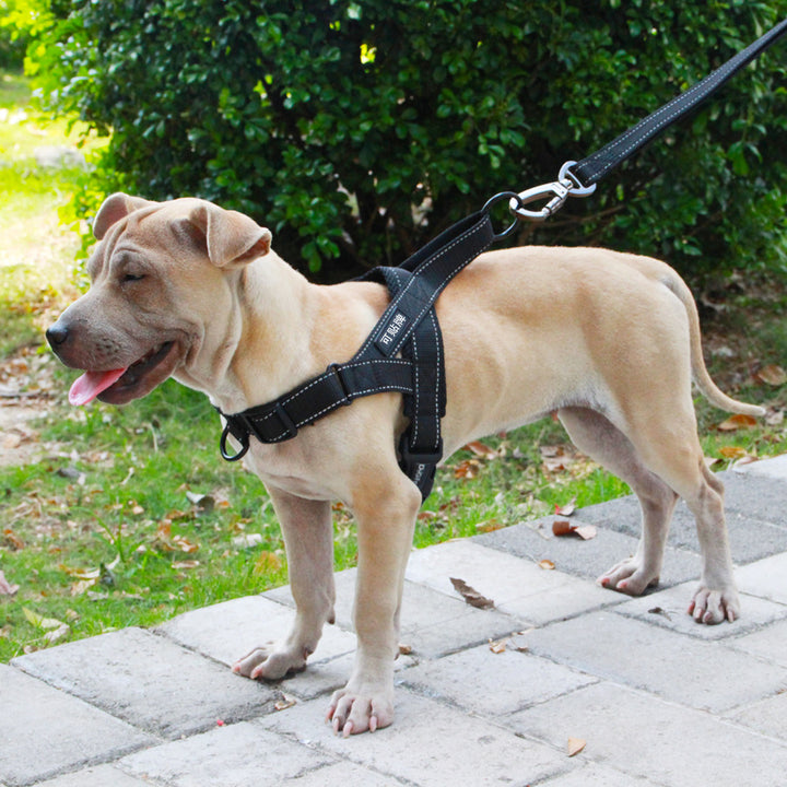 Adjustable Durable Pet Harness And Leash Set For Outdoor Walking