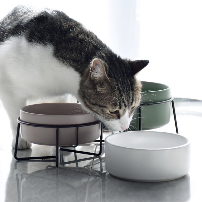 Metal Frame Ceramic Pet Feeding Bowl Stand