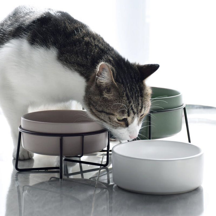 Metal Frame Ceramic Pet Feeding Bowl Stand