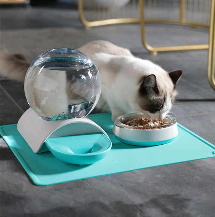 Automatic Pet Feeder And Water Dispenser
