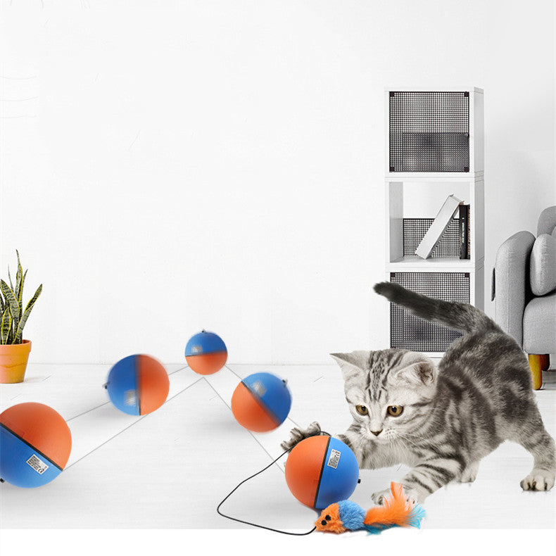 Automatic Tease Toy Ball Intelligent Grinding Teeth
