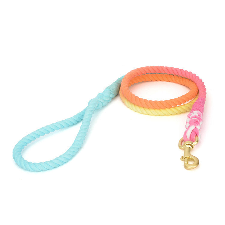 Rainbow Gradient Pet Traction Rope Leash