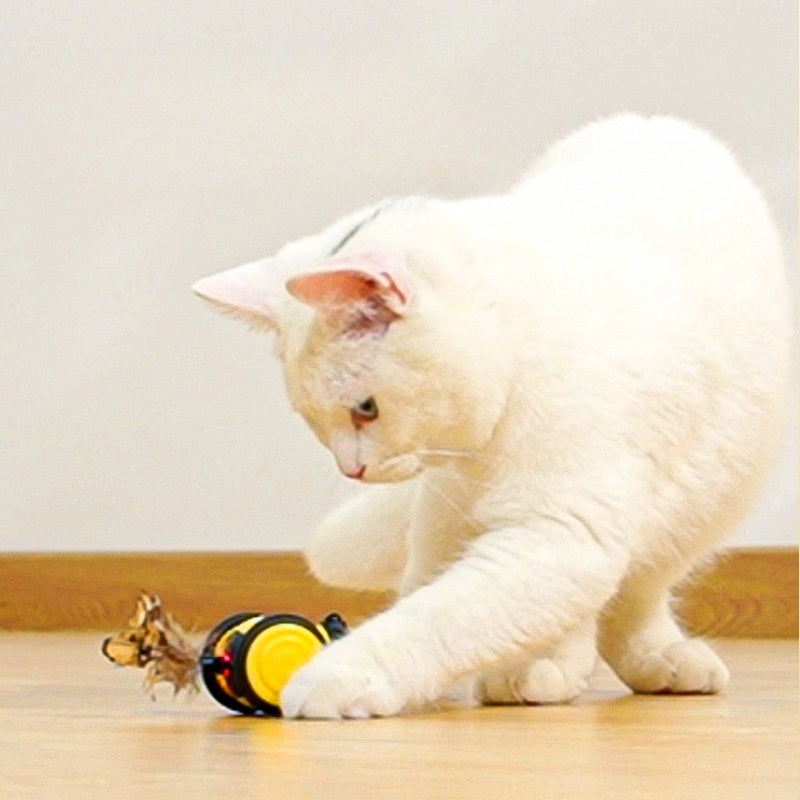 Electric Car Toy Cute Bee Running Kitten Pet Toys Interactive Random Moving