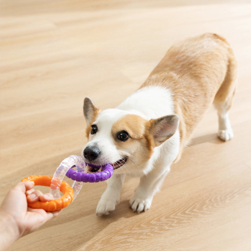 Floating Water Toys Pet Flying Disk Training Ring Interactive Toy Puller Resistant Aggressive