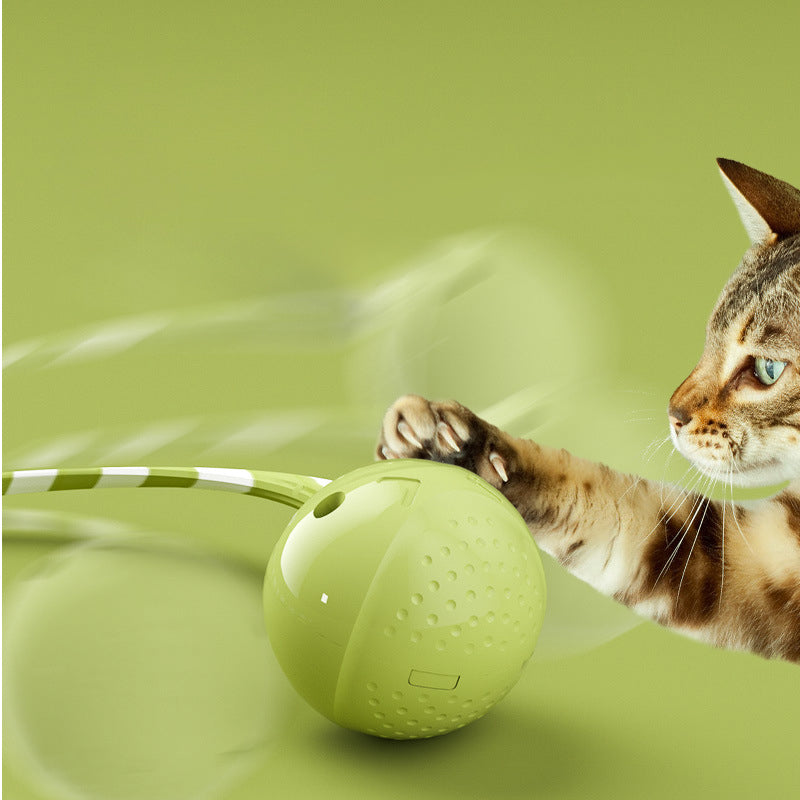 Toys Interactive Electric Balls Pet Toy Motion Activate Ball Toy