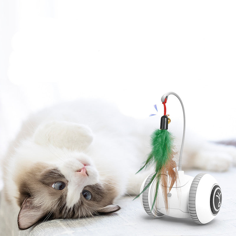 Interactive Toy With Interchangeable Heads  Pet Feather Toys