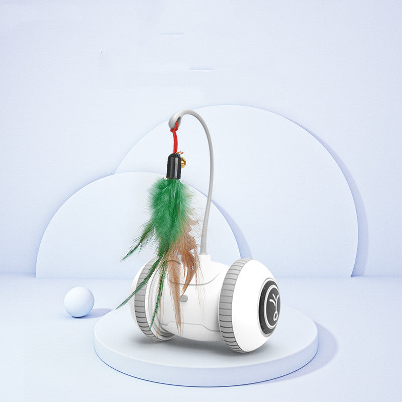 Interactive Toy With Interchangeable Heads  Pet Feather Toys