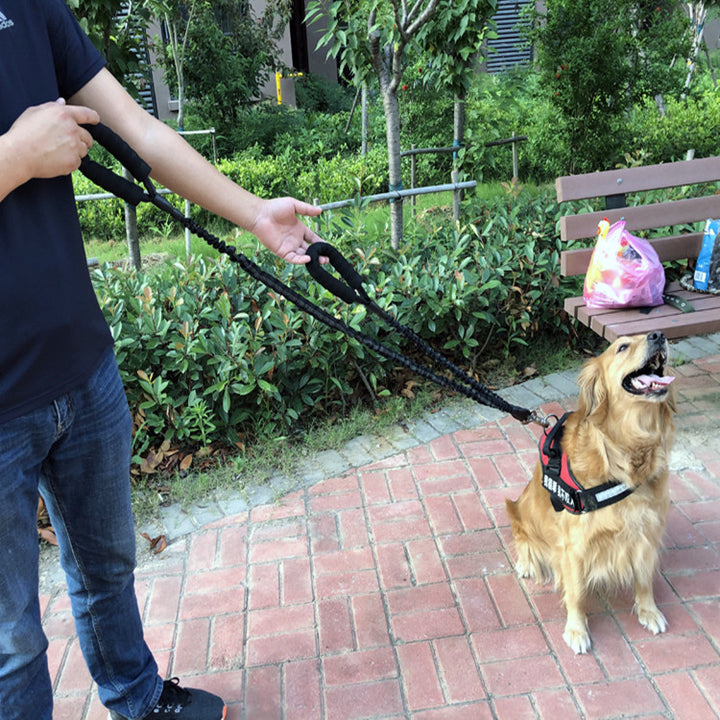 Elastic Retractable Anti Burst Pet Leash