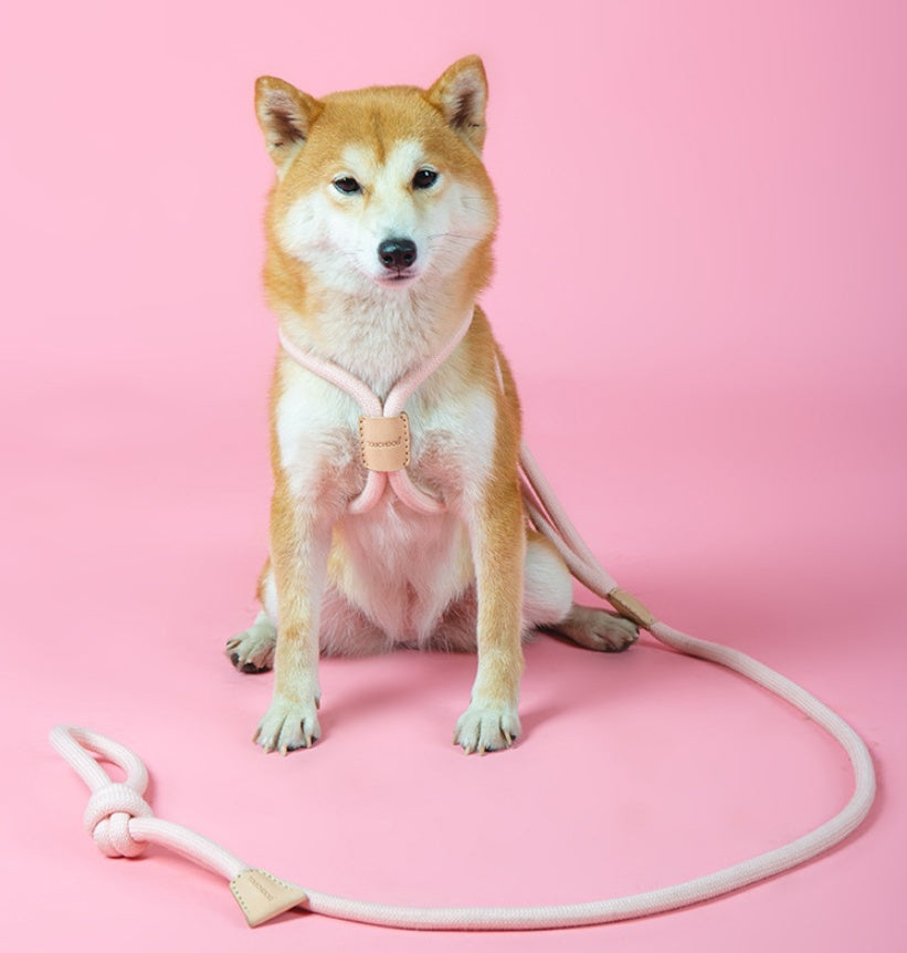 Dual Purpose Round Rope Pet Leash