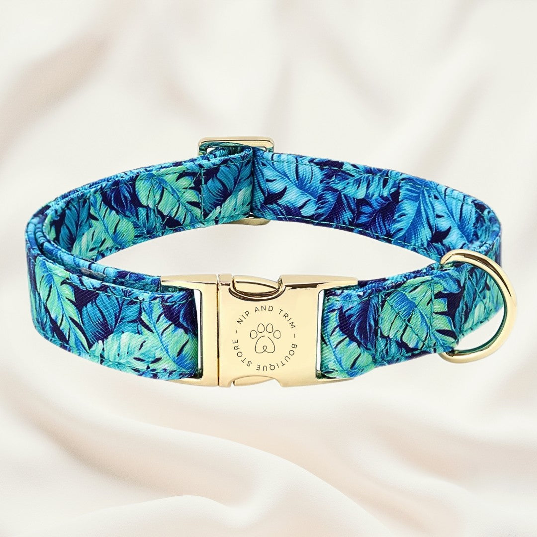 Custom Pet Collar With Engraved Identity Name Tag Card