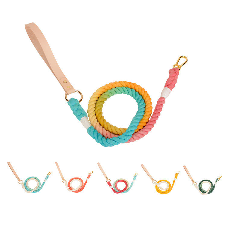 Rainbow Gradient Pet Traction Rope Leash
