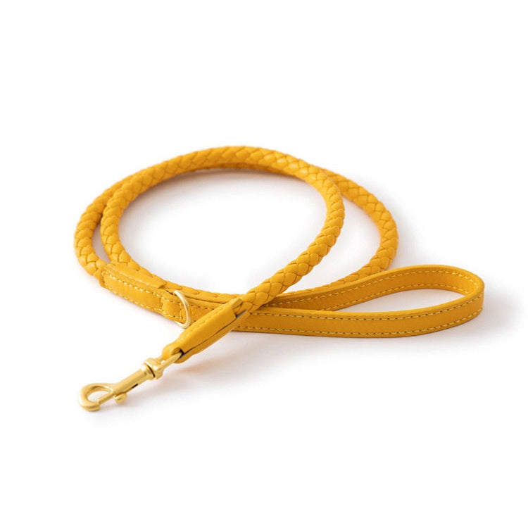 Premium Sturdy Large Pet Collar