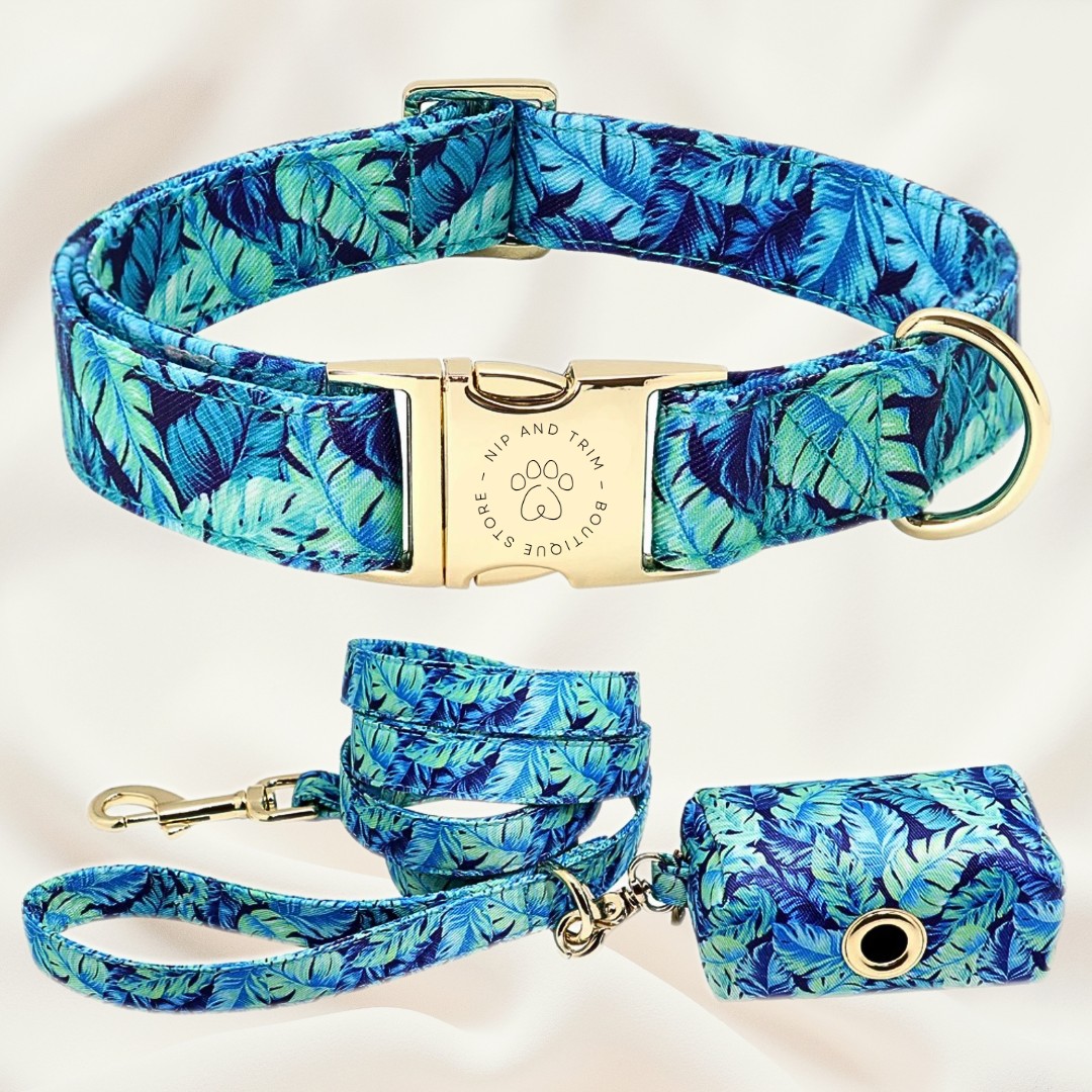 Custom Pet Collar With Engraved Identity Name Tag Card