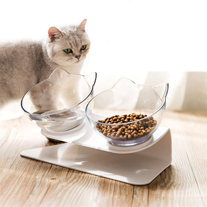 Non Slip Double Bowl Elevated Pet Feeder With Stand