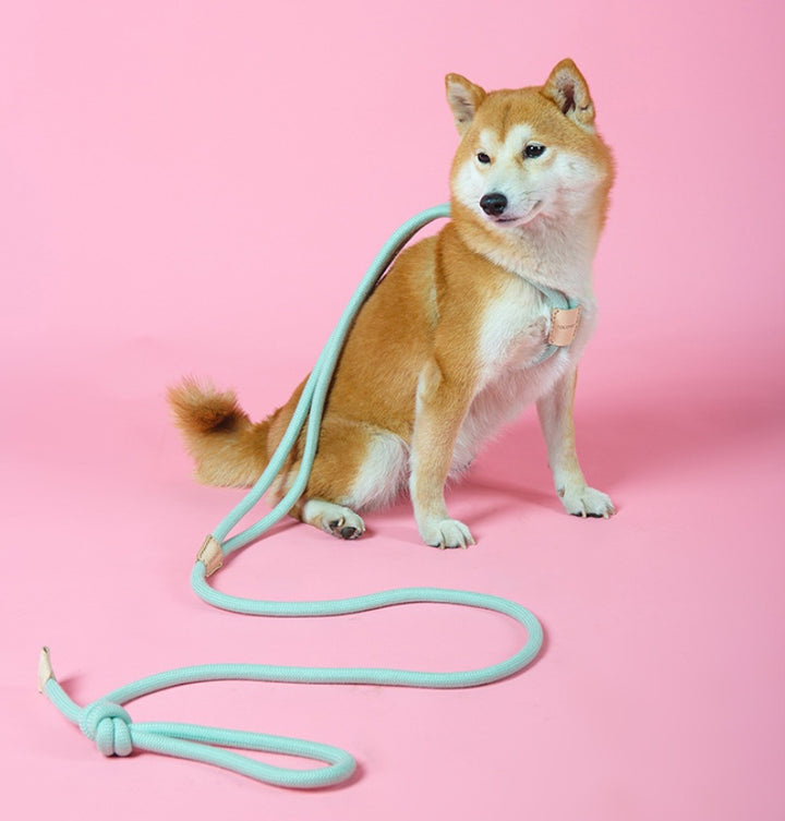 Dual Purpose Round Rope Pet Leash