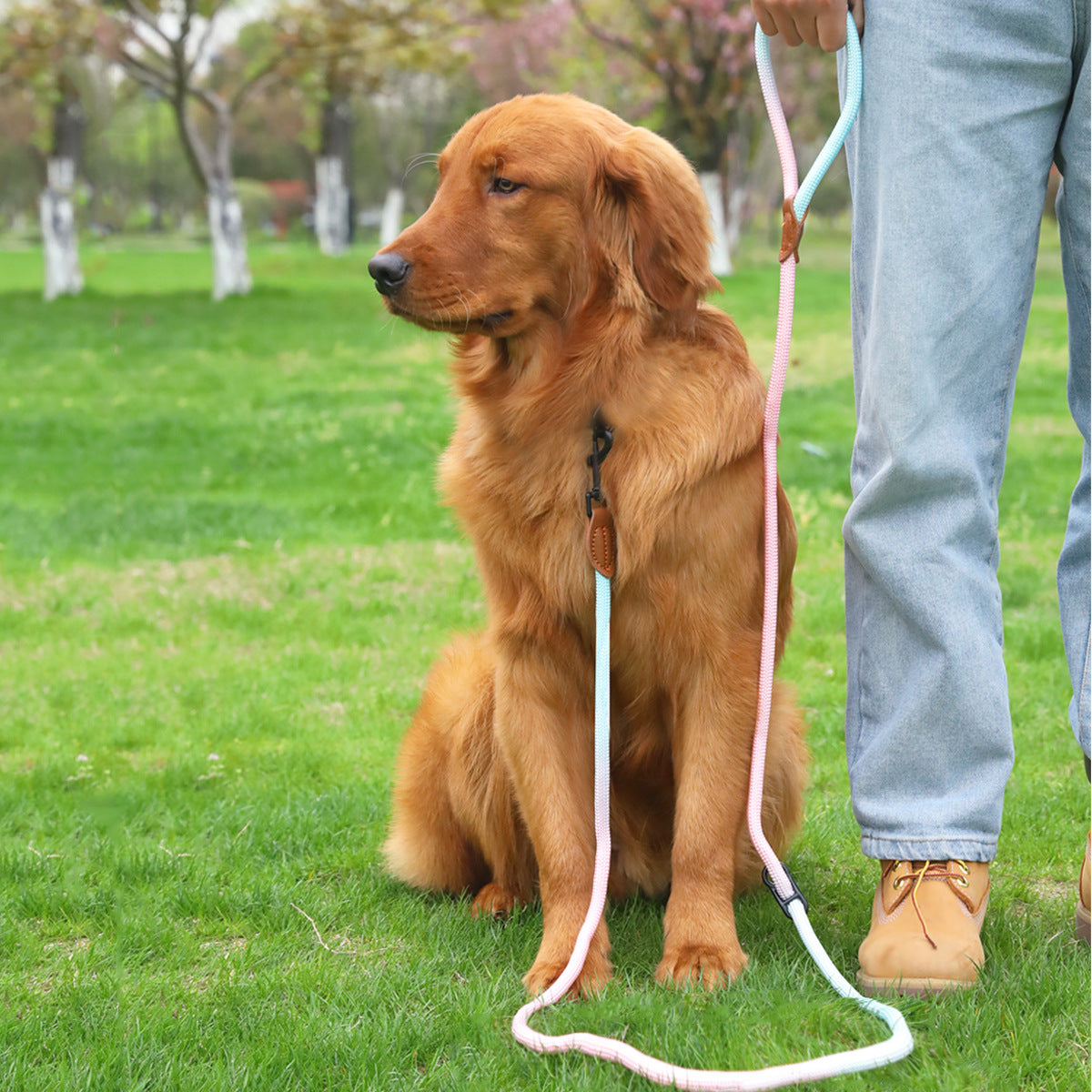 Multi Purpose Reflective Pet Walking Rope