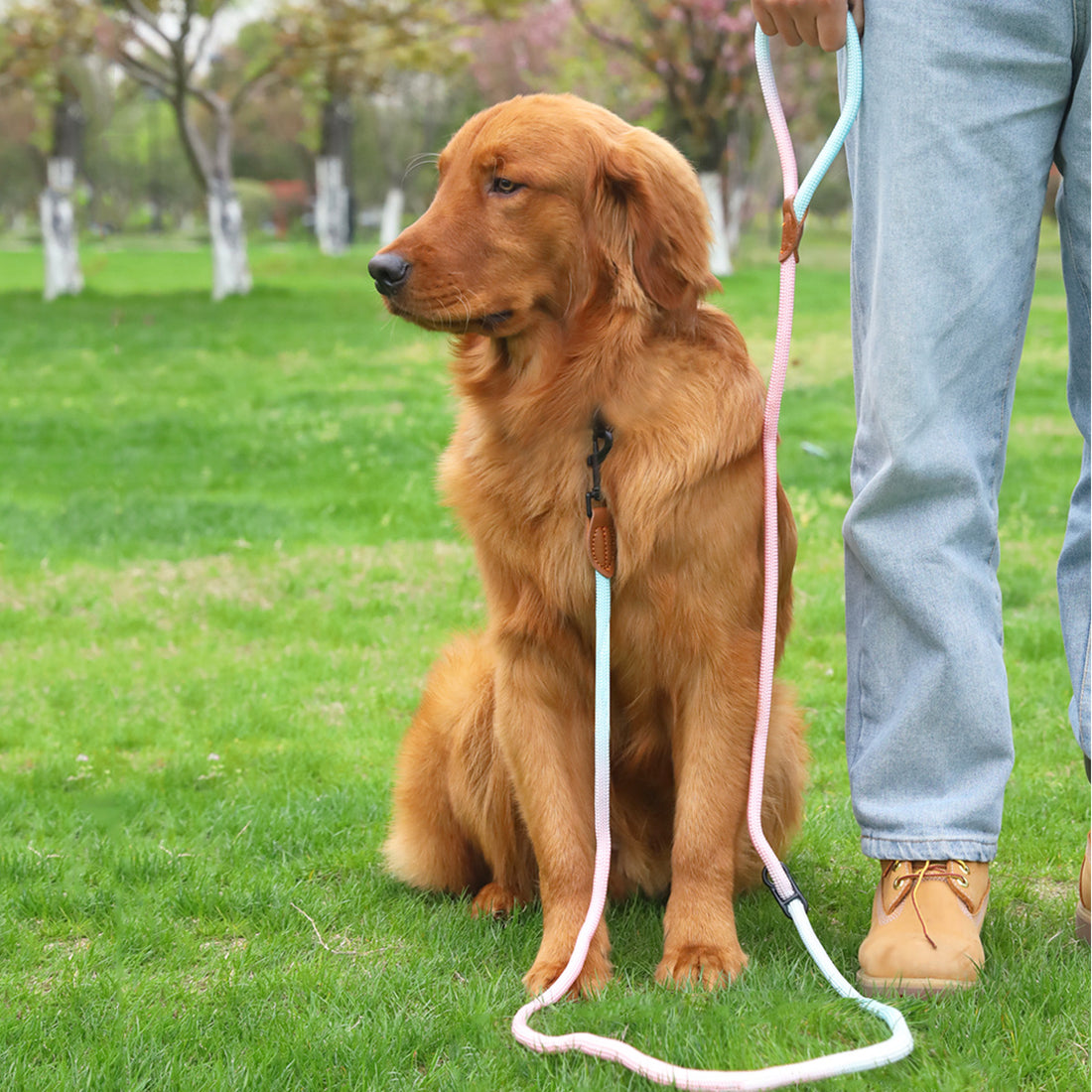 Multi Purpose Reflective Pet Walking Rope