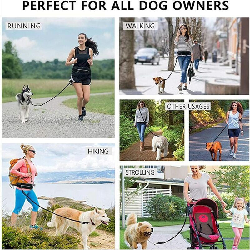 Pet Purse Style Leash Walking