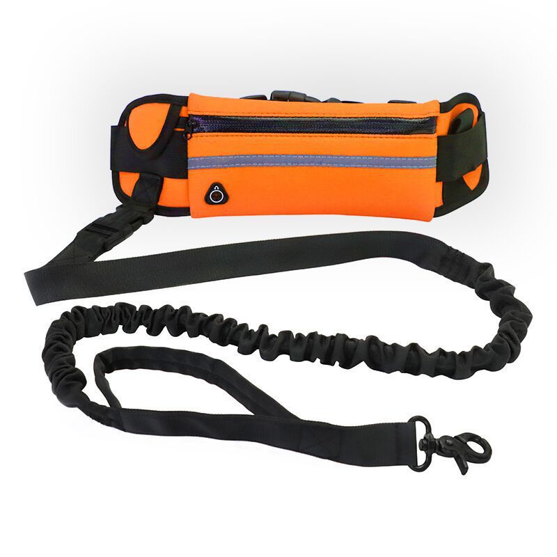 Pet Purse Style Leash Walking