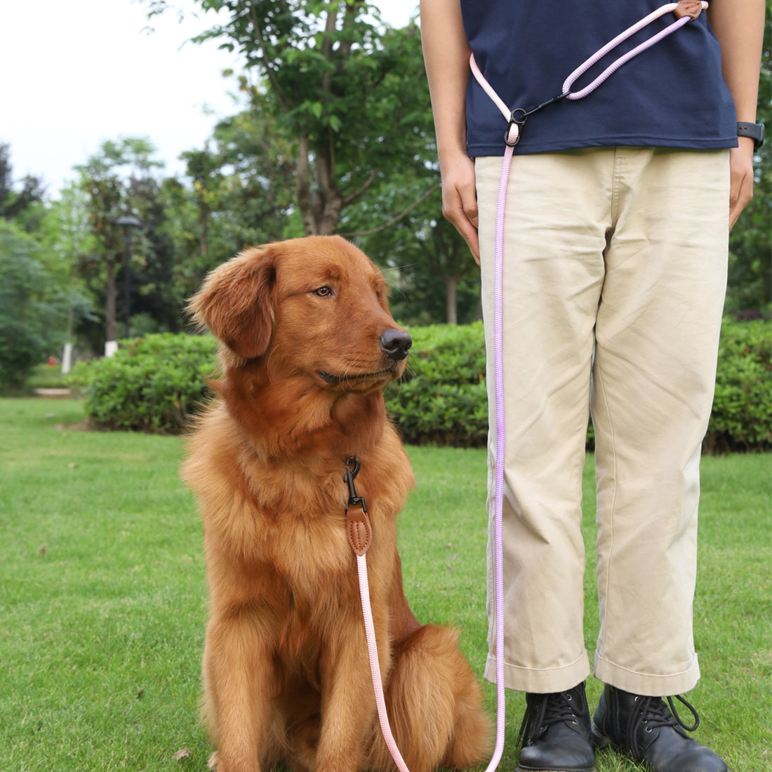 Multi Purpose Reflective Pet Walking Rope