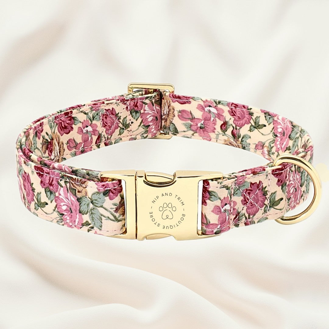 Custom Pet Collar With Engraved Identity Name Tag Card