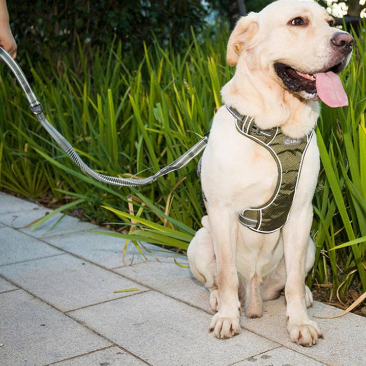 Fluorescent Elastic Retractable Anti Burst Pet Leash